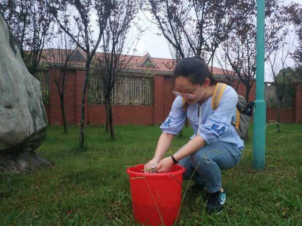 1560739056269052616.jpg 图片3.jpg