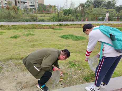 1604928091413028262.png image.png