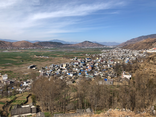 1606228254354023888.png 00.png