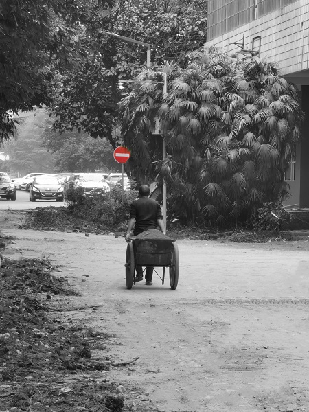 1607386872972092665.jpg 《摩登背影》.jpg